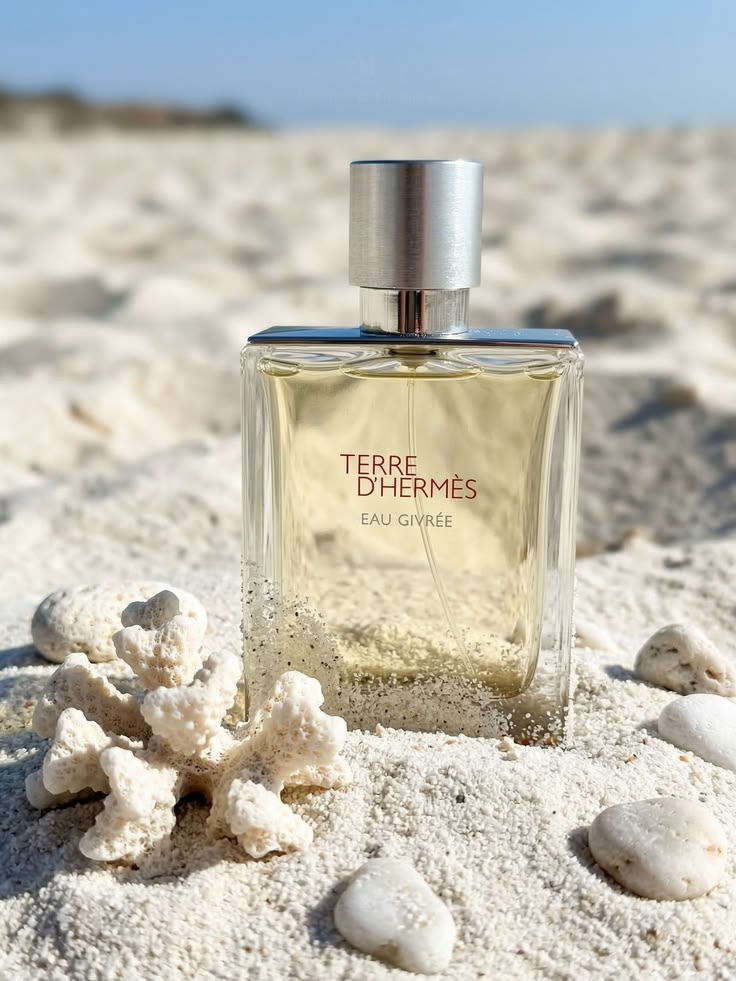 Masculine Terre De Hermes